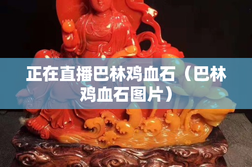 正在直播巴林雞血石（巴林雞血石圖片）