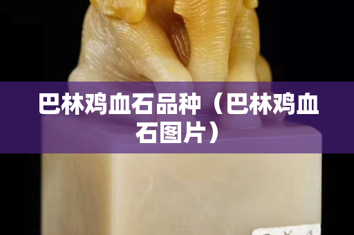 巴林雞血石品種（巴林雞血石圖片）