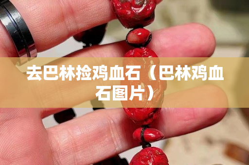 去巴林撿雞血石（巴林雞血石圖片）
