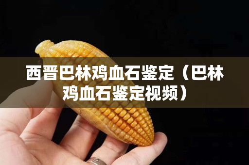西晉巴林雞血石鑒定（巴林雞血石鑒定視頻）