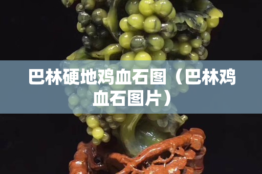 巴林硬地雞血石圖（巴林雞血石圖片）