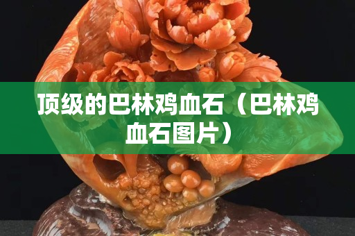 頂級的巴林雞血石（巴林雞血石圖片）