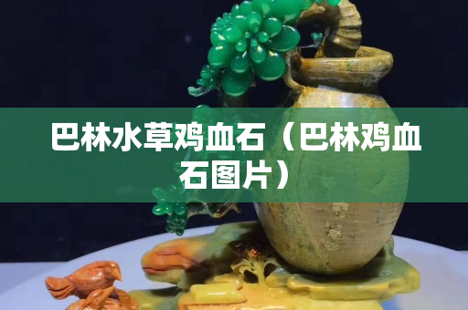巴林水草雞血石（巴林雞血石圖片）