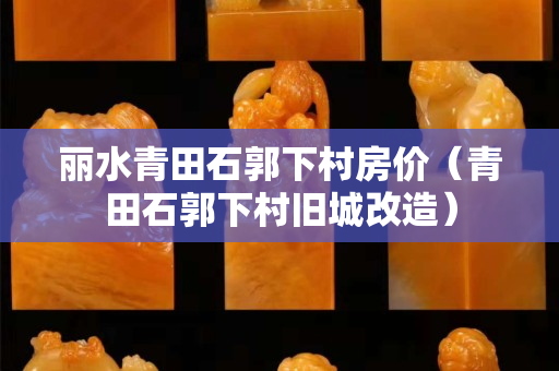 麗水青田石郭下村房價（青田石郭下村舊城改造）