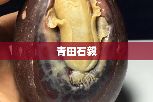 青田石毅