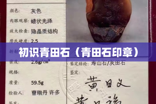 初識青田石（青田石印章）