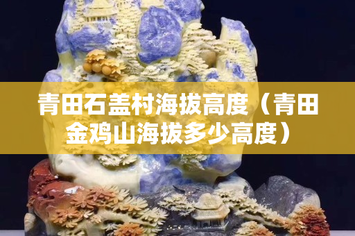 青田石蓋村海拔高度（青田金雞山海拔多少高度）