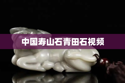 中國壽山石青田石視頻