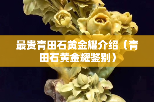 最貴青田石黃金耀介紹（青田石黃金耀鑒別）