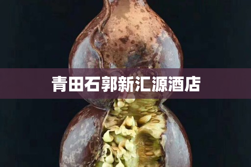 青田石郭新匯源酒店