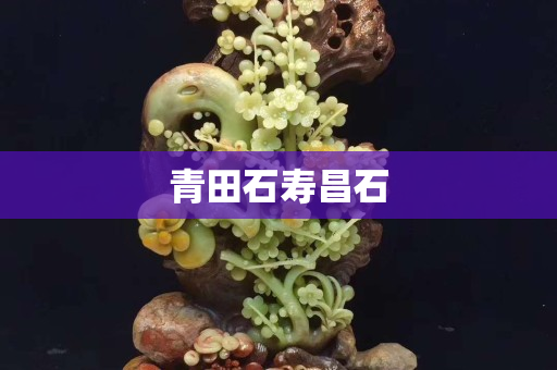 青田石壽昌石