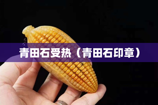 青田石受熱（青田石印章）