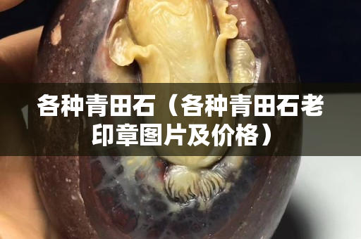 各種青田石（各種青田石老印章圖片及價格）