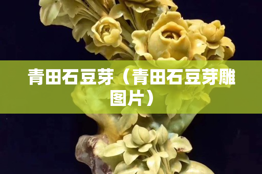 青田石豆芽（青田石豆芽雕圖片）