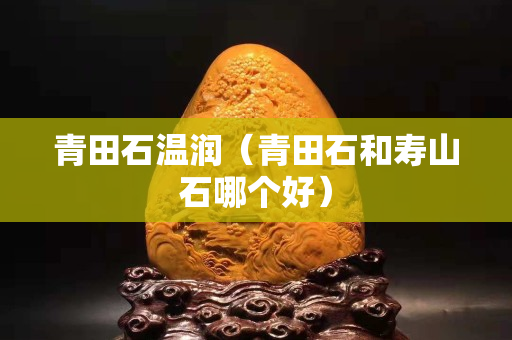 青田石溫潤(rùn)（青田石和壽山石哪個(gè)好）