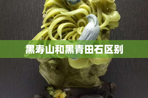 黑壽山和黑青田石區別