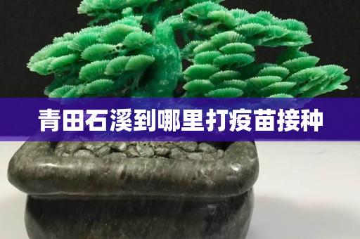 青田石溪到哪里打疫苗接種