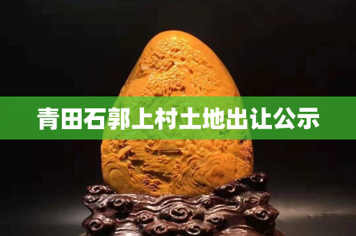 青田石郭上村土地出讓公示