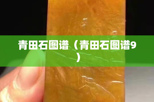 青田石圖譜（青田石圖譜9）
