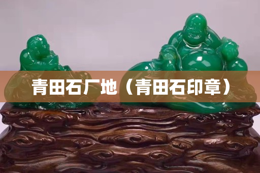 青田石廠地（青田石印章）