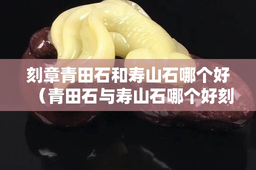 刻章青田石和壽山石哪個好（青田石與壽山石哪個好刻）