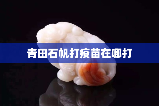 青田石帆打疫苗在哪打