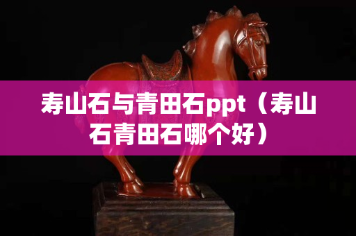 壽山石與青田石ppt（壽山石青田石哪個好）