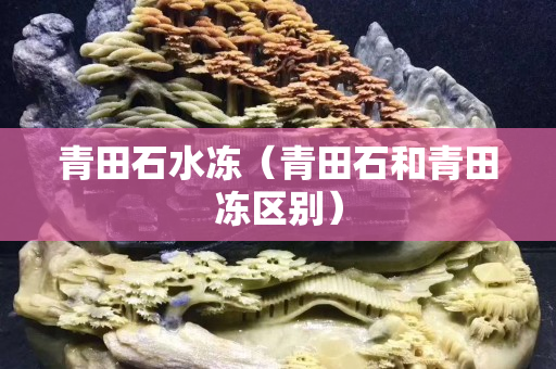 青田石水凍（青田石和青田凍區別）
