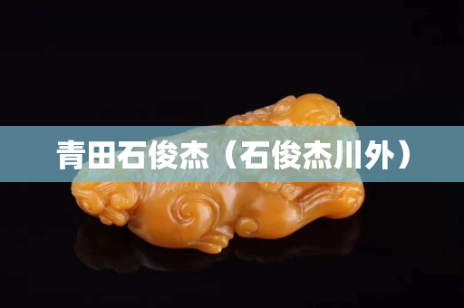 青田石俊杰（石俊杰川外）