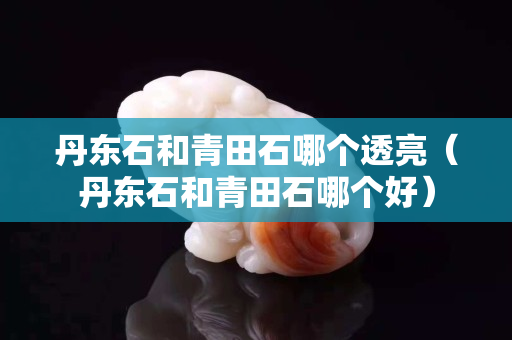 丹東石和青田石哪個透亮（丹東石和青田石哪個好）