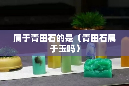 屬于青田石的是（青田石屬于玉嗎）