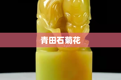 青田石菊花