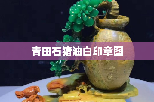 青田石豬油白印章圖