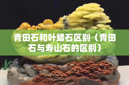 青田石和葉蠟石區別（青田石與壽山石的區別）