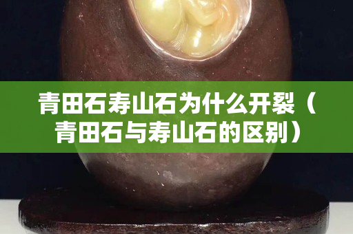 青田石壽山石為什么開裂（青田石與壽山石的區別）