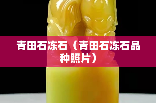 青田石凍石（青田石凍石品種照片）