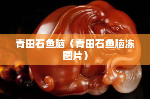 青田石魚腦（青田石魚腦凍圖片）