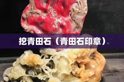 挖青田石（青田石印章）