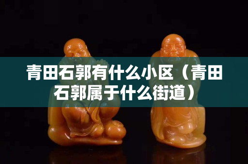 青田石郭有什么小區(qū)（青田石郭屬于什么街道）