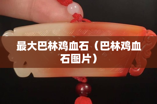 最大巴林雞血石（巴林雞血石圖片）