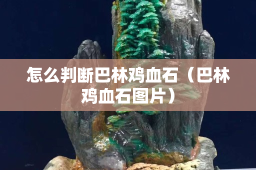 怎么判斷巴林雞血石（巴林雞血石圖片）