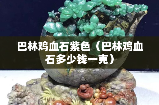 巴林雞血石紫色（巴林雞血石多少錢一克）