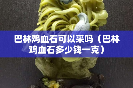 巴林雞血石可以采嗎（巴林雞血石多少錢一克）