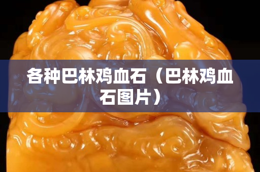 各種巴林雞血石（巴林雞血石圖片）