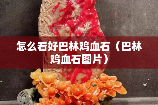 怎么看好巴林雞血石（巴林雞血石圖片）