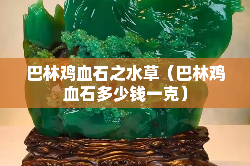 巴林雞血石之水草（巴林雞血石多少錢一克）