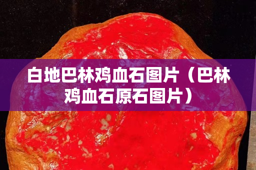 白地巴林雞血石圖片（巴林雞血石原石圖片）