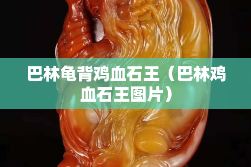 巴林龜背雞血石王（巴林雞血石王圖片）