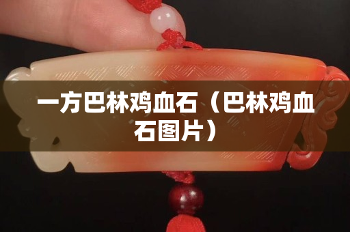 一方巴林雞血石（巴林雞血石圖片）