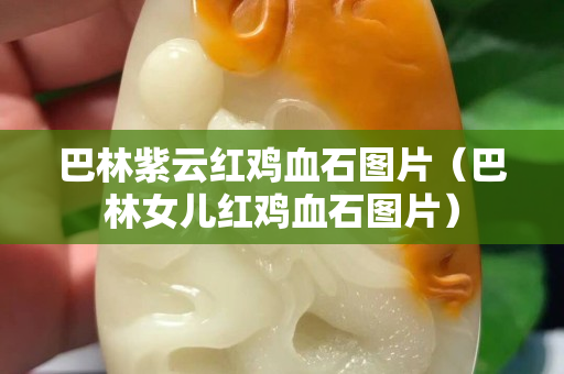 巴林紫云紅雞血石圖片（巴林女兒紅雞血石圖片）